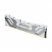 kingston-cudimm-ddr5-24gb-8800mt-s-cl42-fury-renegade-white-57306880.jpg