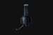 razer-sluchatka-s-mikrofonem-blackshark-v2-pro-wireless-esports-headset-57230982.jpg