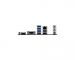 msi-mb-sc-am5-pro-b840m-b-amd-b840-2xddr5-1xhdmi-1xvga-matx-57304683.jpg