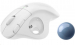 logitech-wireless-trackball-mouse-m575-57247597.jpg