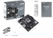 asus-mb-sc-am5-prime-a620m-k-amd-a620-2xddr5-1xhdmi-1xvga-matx-57206148.jpg